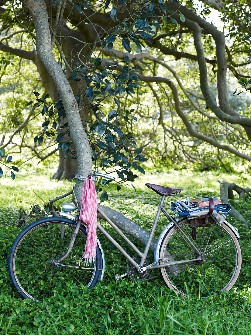 Fahrrad mit Picknickdecken im Wald