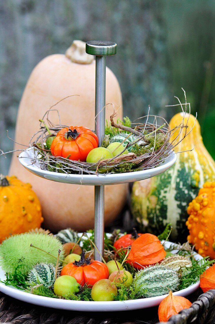 An autumnal cake stand with pumpkins, moss and crab apples