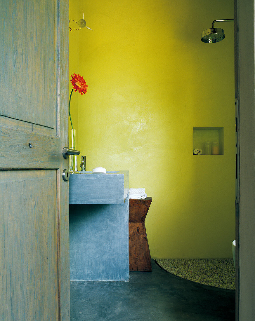 Glänzender Brausenkopf in fröhlichem Badezimmer in Grün- und Blautönen