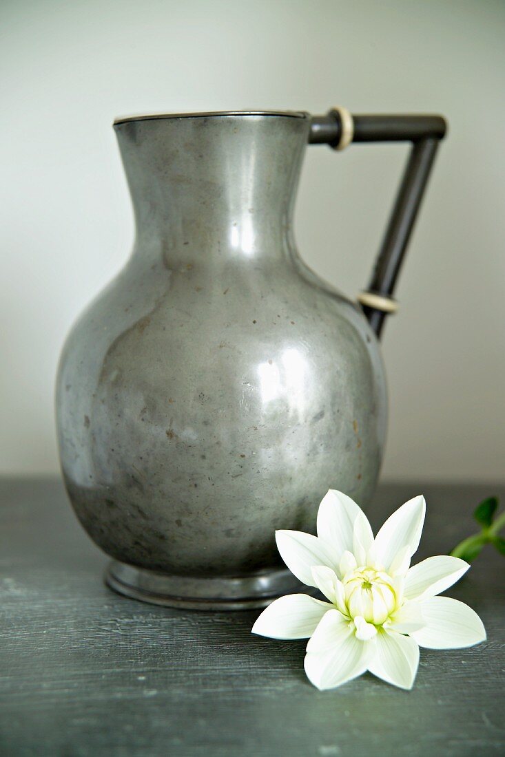 Simple metal jug with white flower