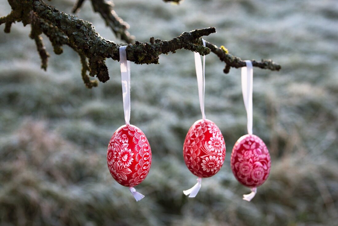 Three painted Easter eggs hanging on branch of apple tree
