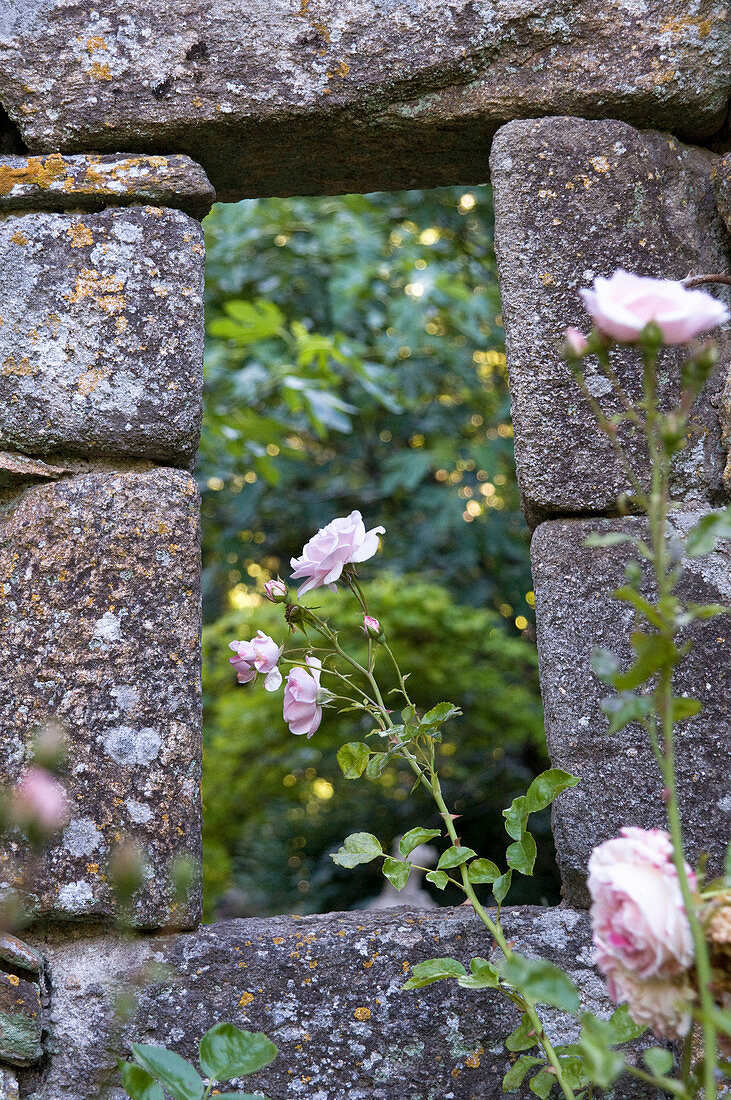 Blick durch die Gartenmauer