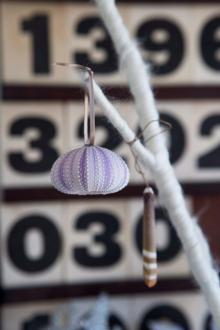 Sea urchin test and wooden decoration hanging from twig in front of rows of numbers on wall