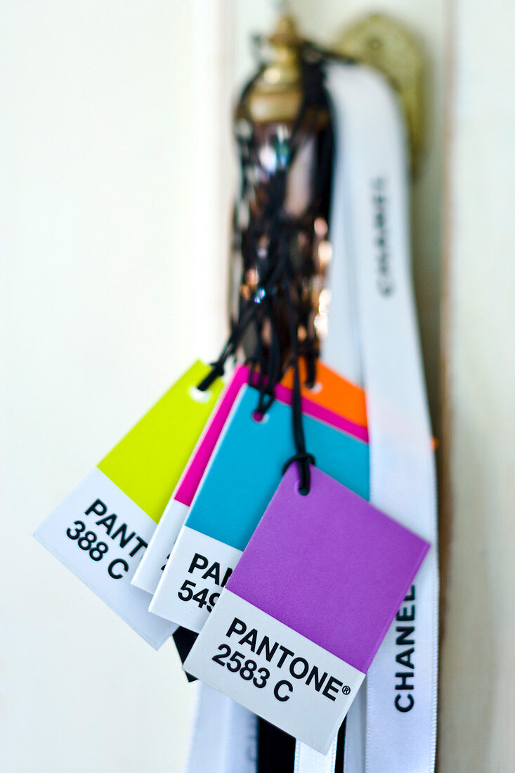 Colour cards hung from cords