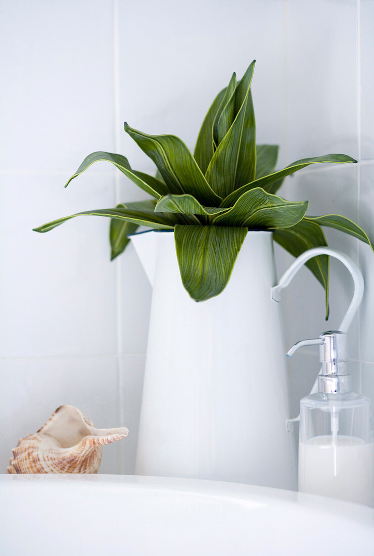 White pitcher with leaves next to a soap dispenser on the vanity