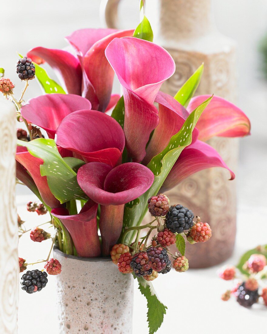 Summer bouquet with calla lilies (Ruby Sensation variety) and blackberries