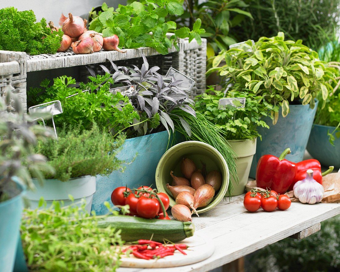 Fresh herbs and summer vegetables on a terrace