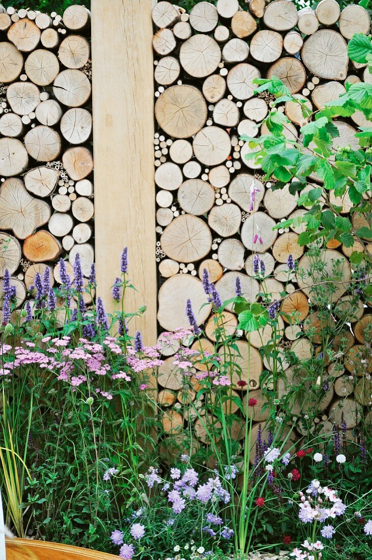 Wildflowers growing in front of stacked wood