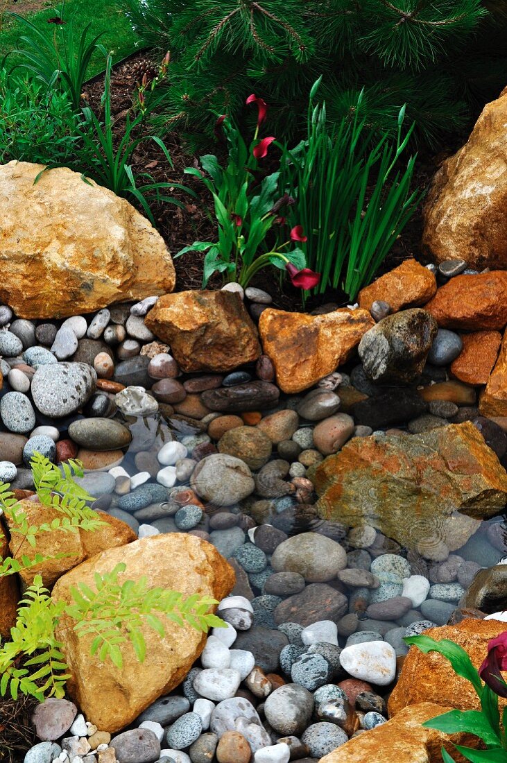 Small pond with pebbles and flowers