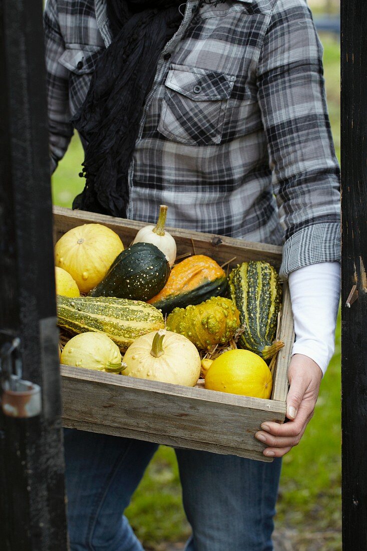 Woman holding crate of ornamental gourds