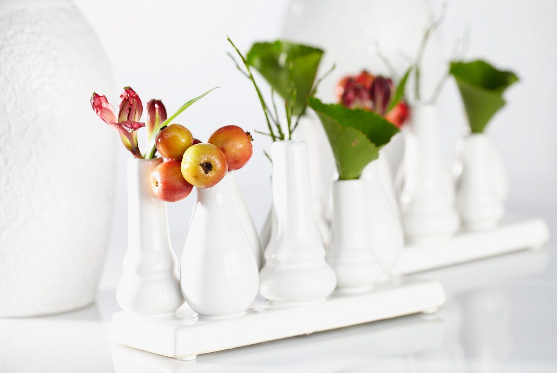 Ornamental apples in vases (winter decorations)
