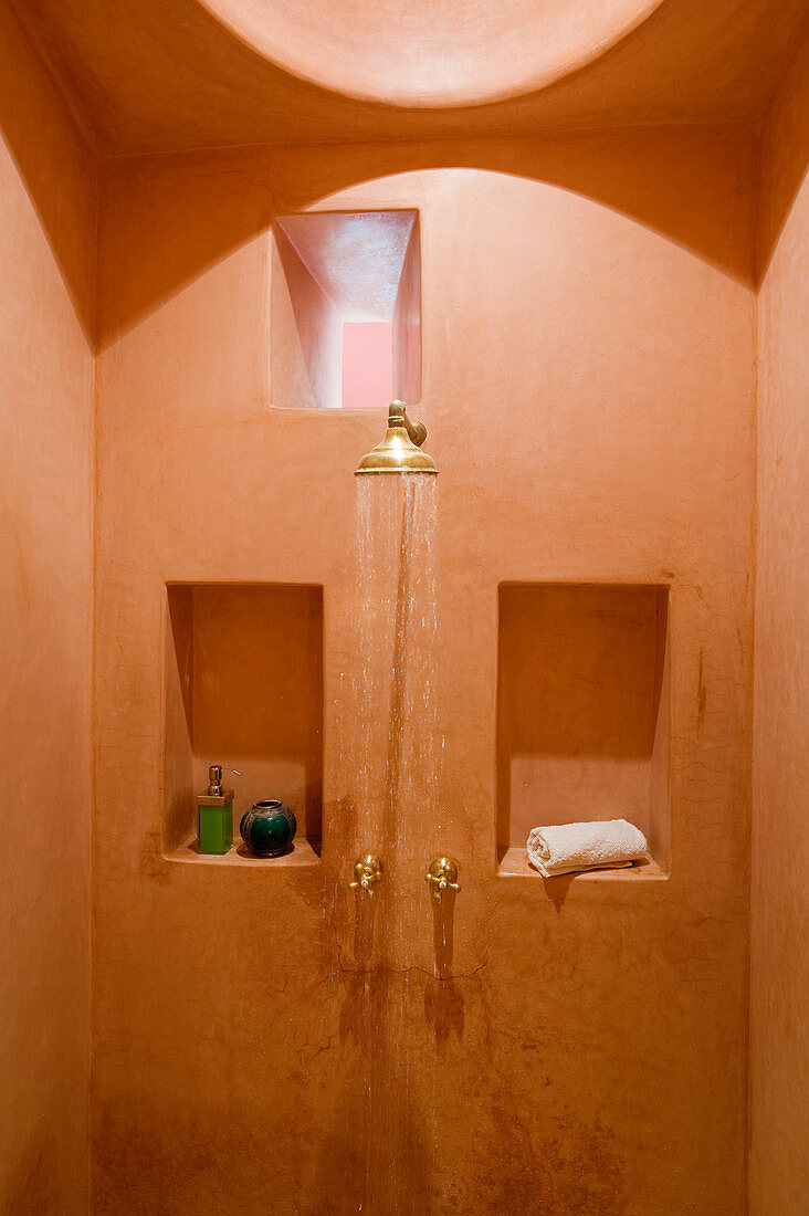 Simple shower area with bathroom accessories in niches
