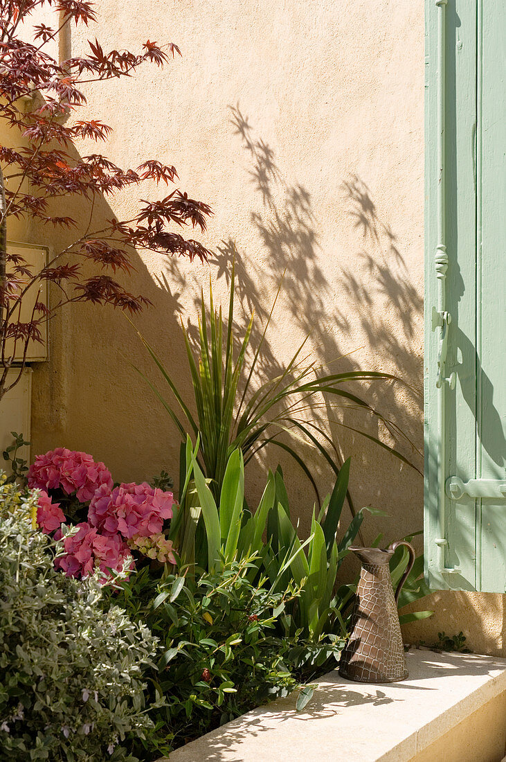 Beet mit blühenden Hortensien am Wohnhaus