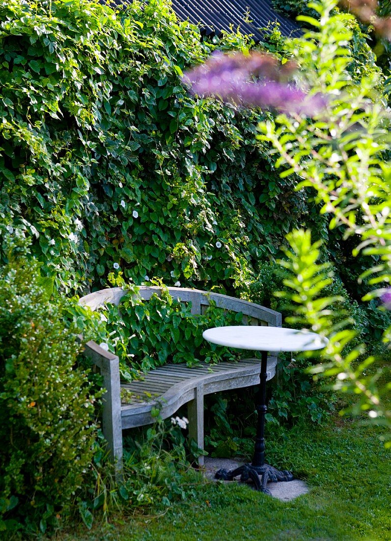 Old garden bench and bistro table in front of hedge