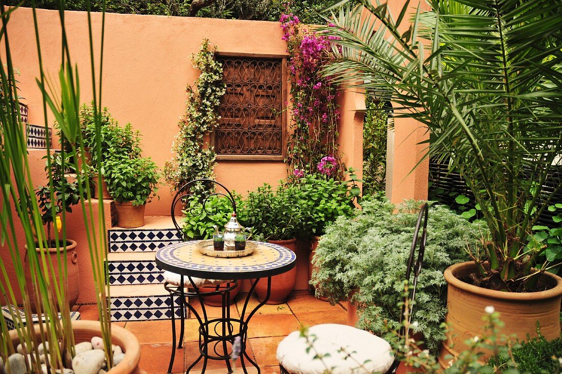 Potted plants on terrace (Morocco)