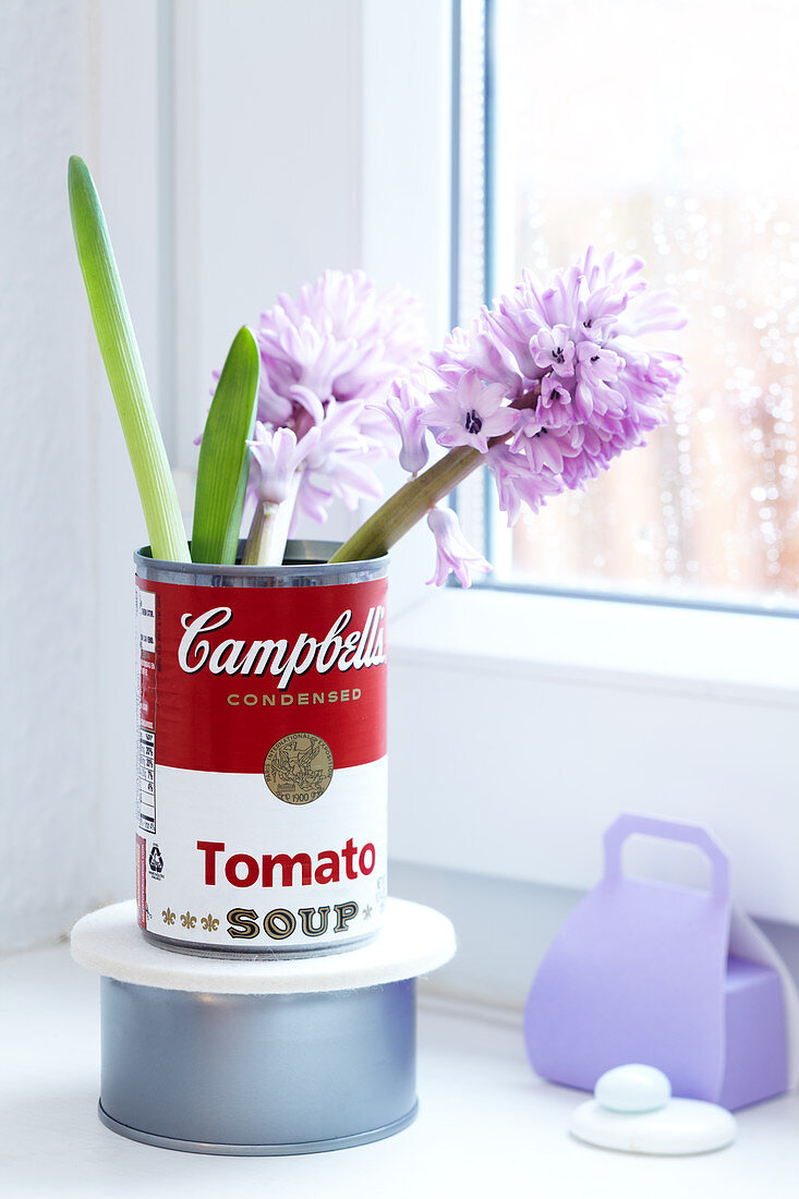 Hyacinths in a retro-style tin can in front of a window