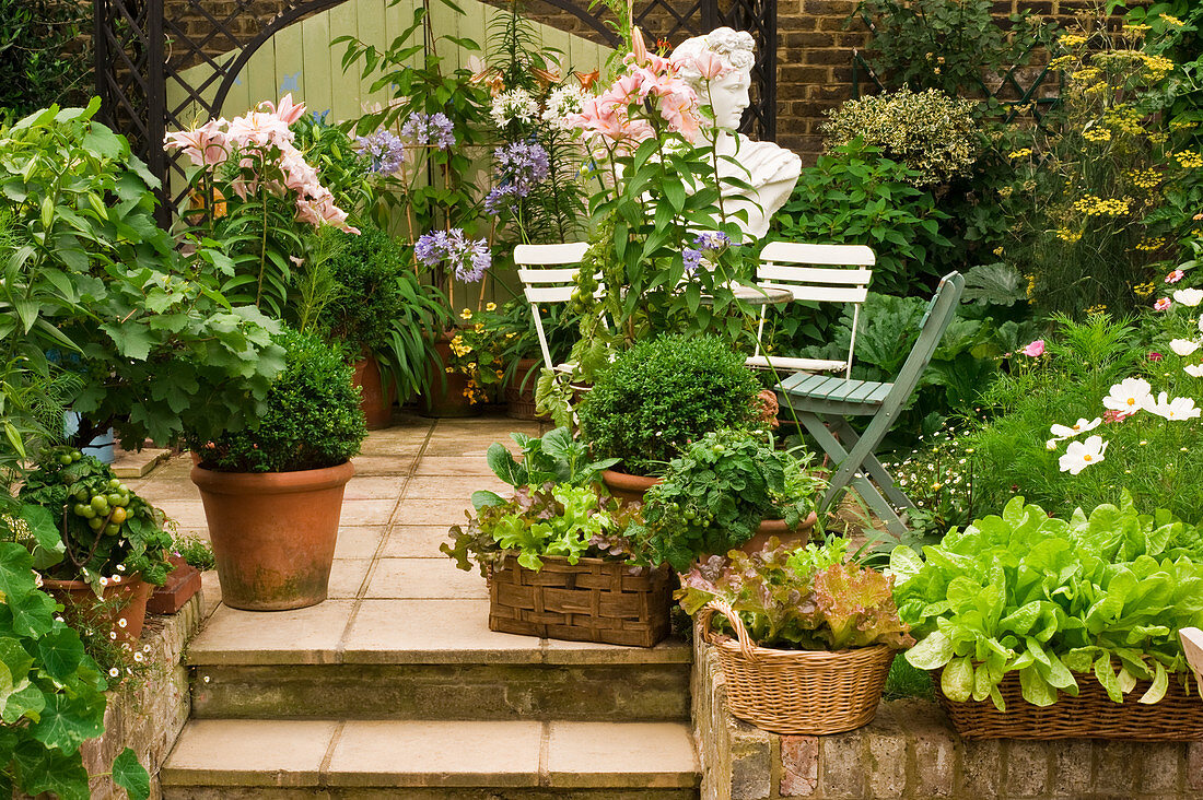 Flowering plants and vegetables in containers on terrace