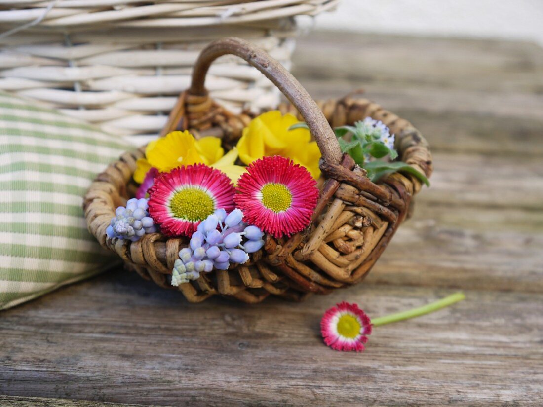 Small basket of spring flowers