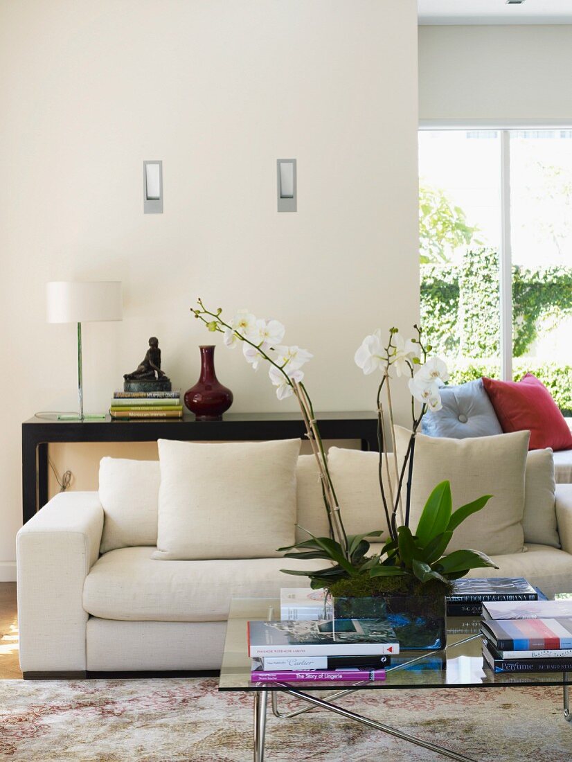 Orchid on glass table in front of white upholstered sofa in modern interior