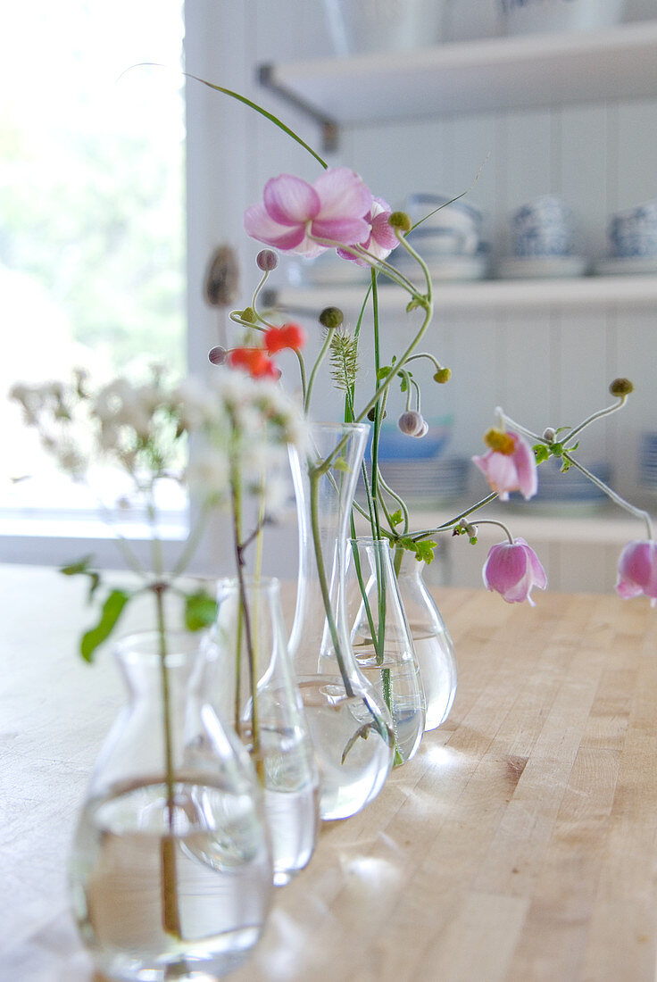 Verschiedene Glasvasen in Reihe mit einzelnen Blumen auf Holztisch
