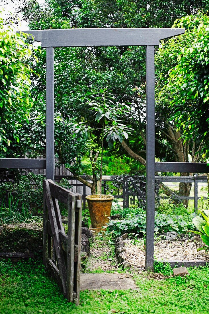 Garten in Sommerstimmung - Offene Gartentür mit torartigem Holzrahmen und Blick auf Pflanze im Topf