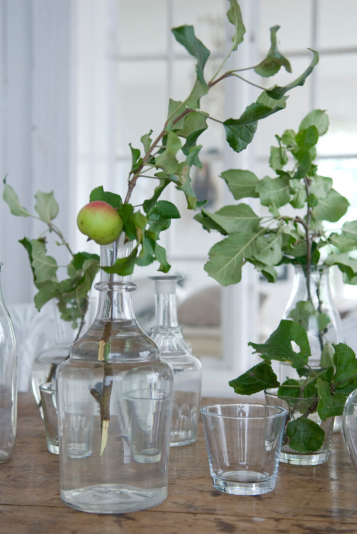 Zweige mit Apfel in Vintage Glasflaschen