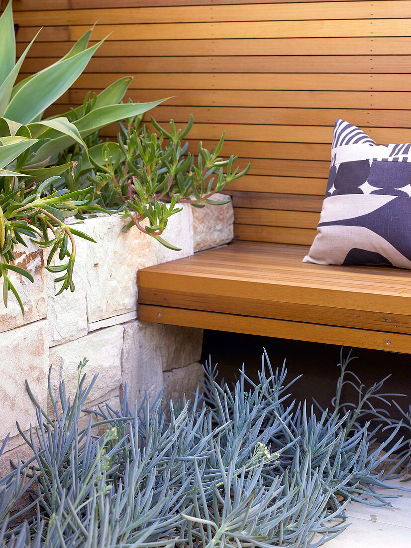 Wooden bench and back wall next to Mediterranean plants in raised bed with stone surround