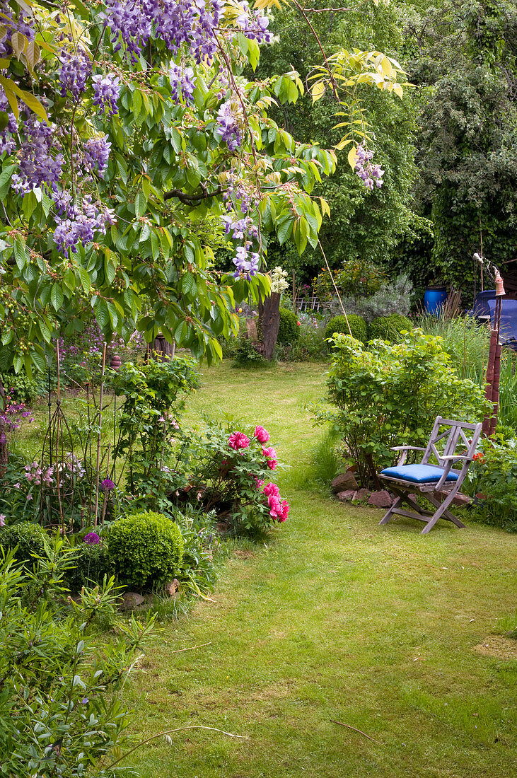 Garden chair in idyllic wild garden