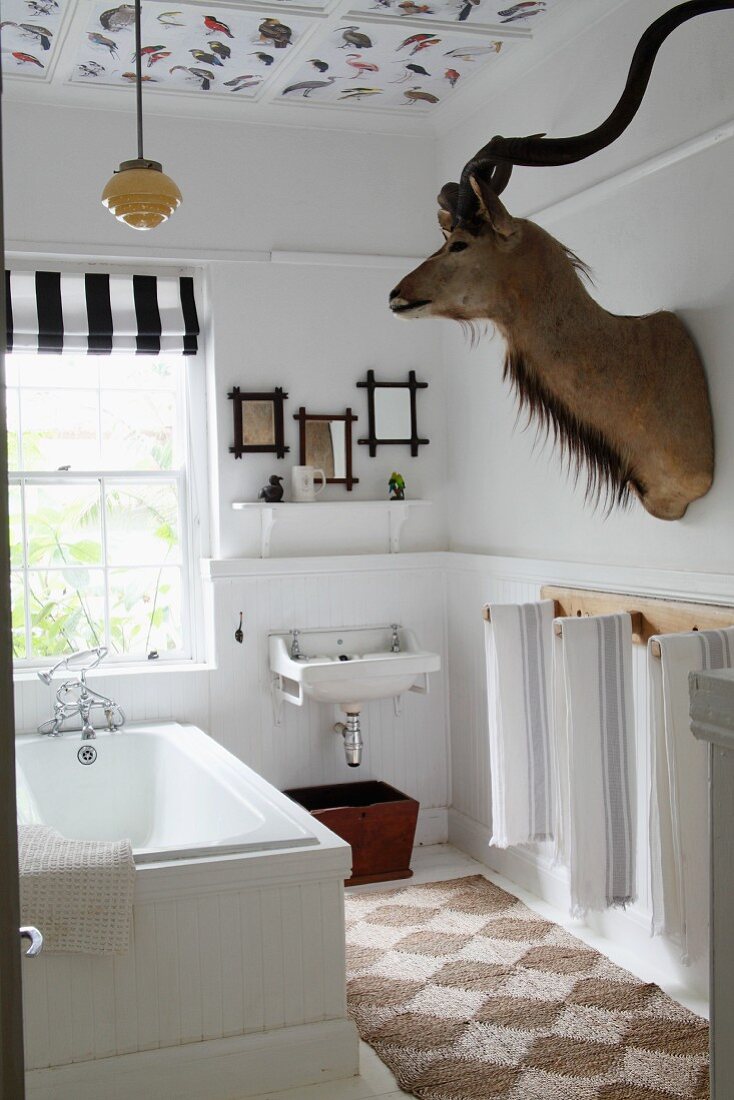 Simple bathtub below window and hunting trophy on wall of bathroom