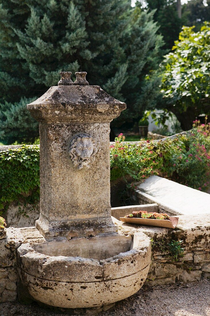 Alter Steinbrunnen mit Wasserspeier in mediterranem Garten