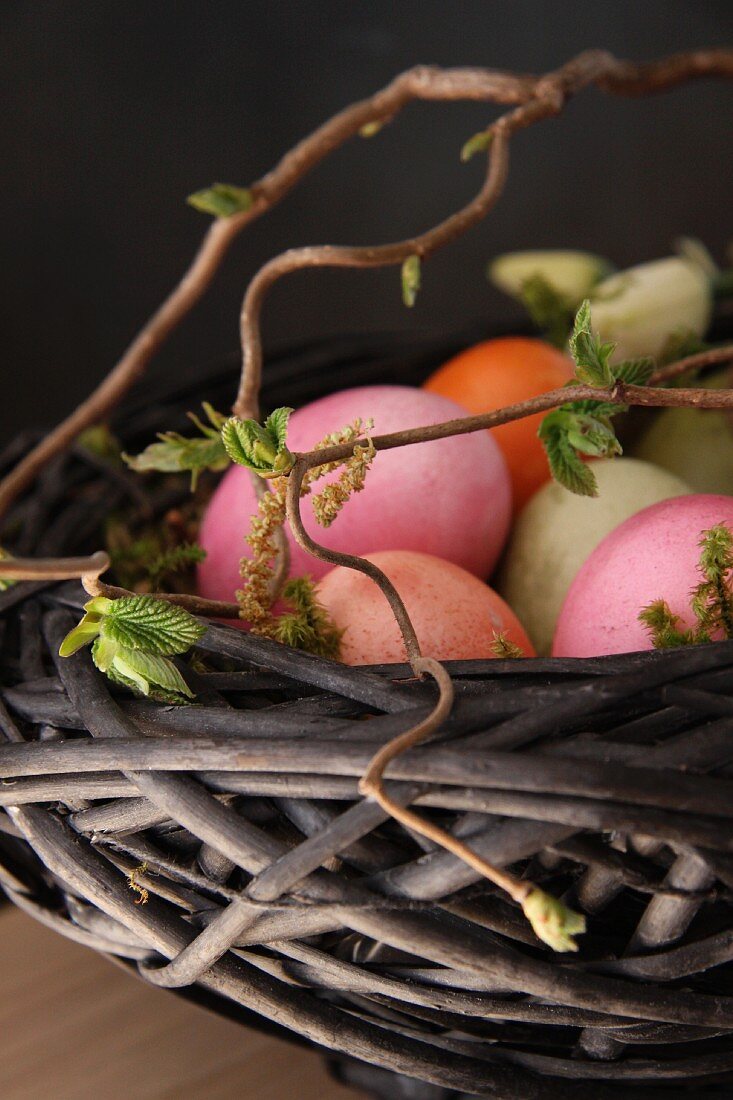 Colourful Easter eggs in a nest
