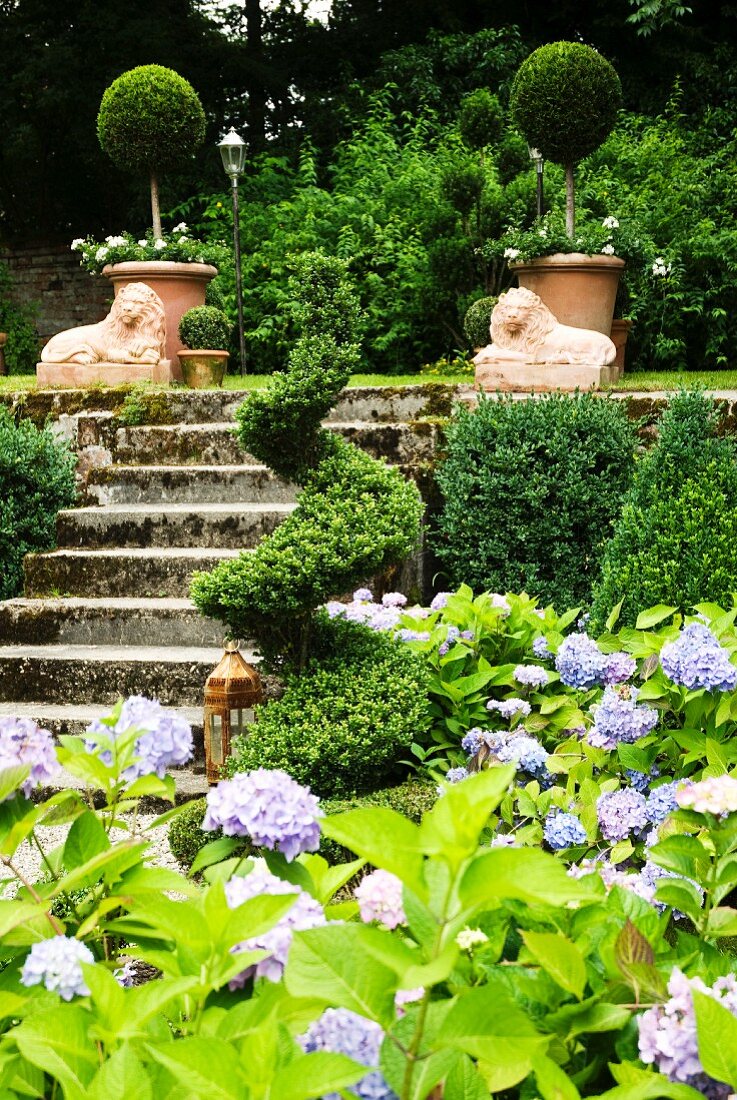 Sommergarten auf zwei Ebenen mit blühenden Hortensien und Buchs-Spirale