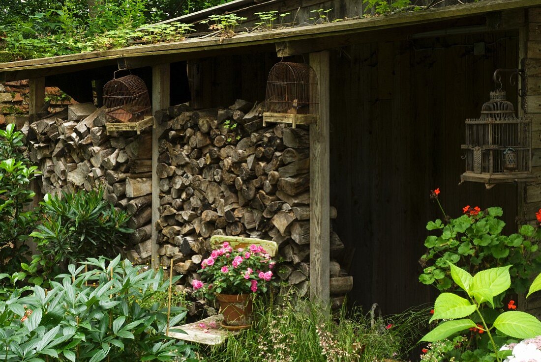 Gestapeltes Brennholz und alte Vogelkäfige vor einem Gartenschuppen