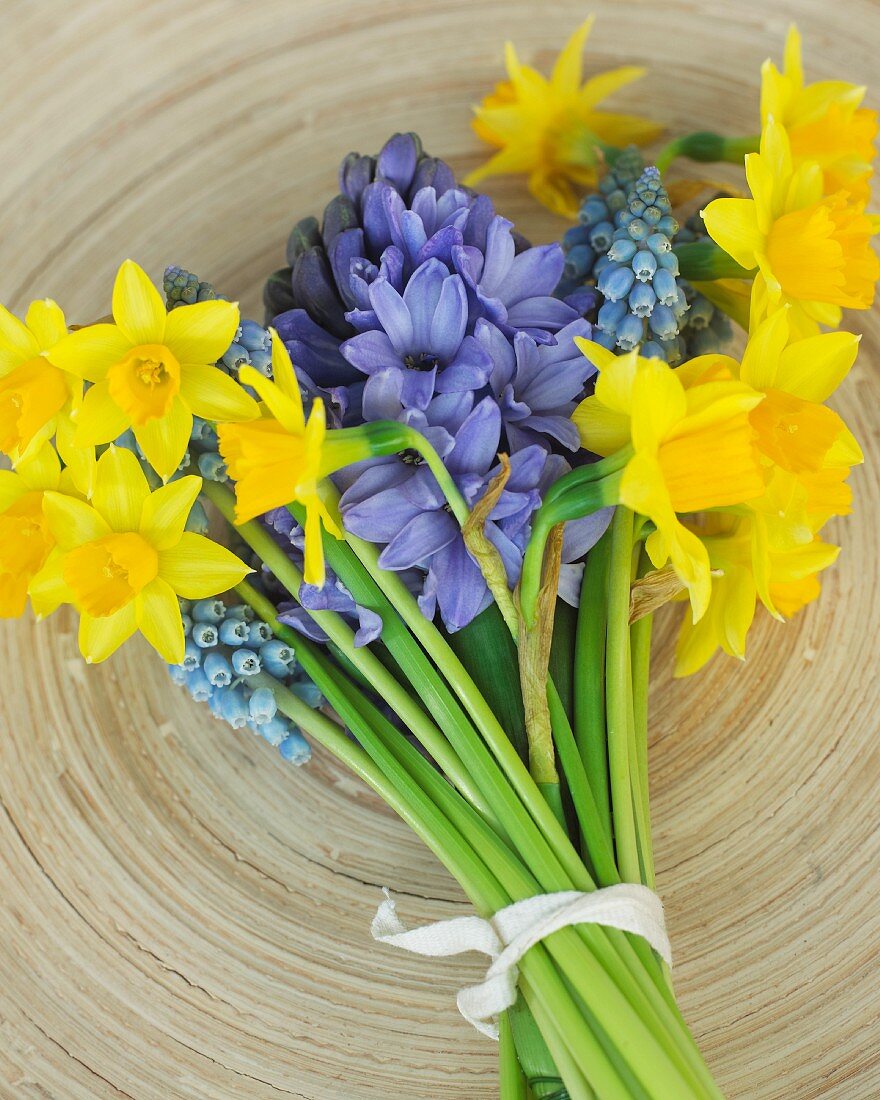 Colourful spring posy