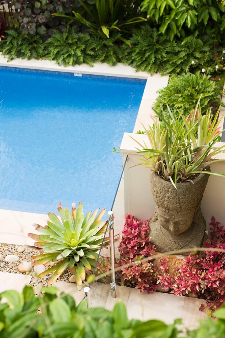 Succulents around pool in Mediterranean garden with meditative atmosphere