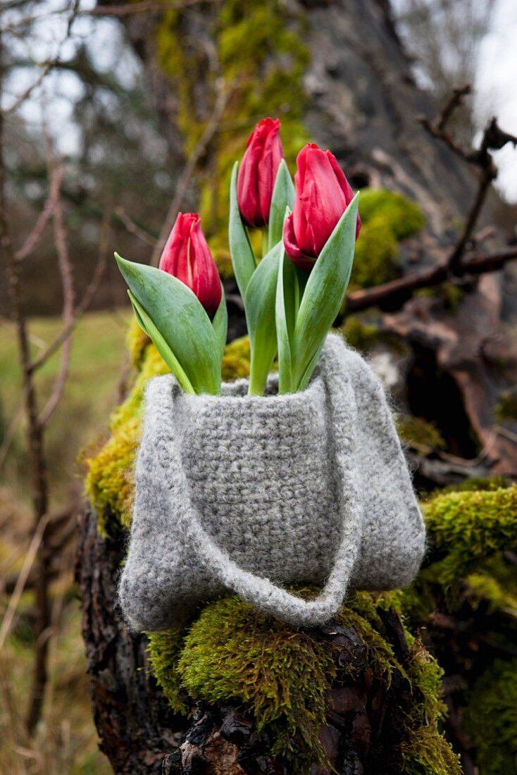 Tulips in crocheted and felted bag