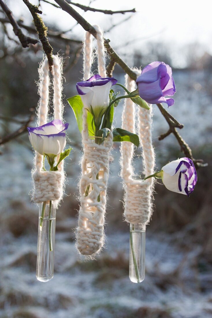 Flowers in test tubes with crocheted holders