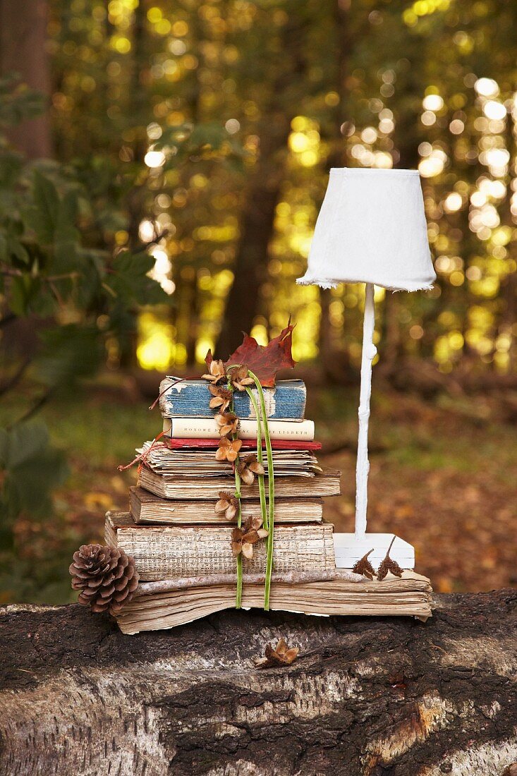 Alte Bücher und Briefe, zusammengebunden und eine Schirmlampe auf einem Baumstamm im herbstlichen Wald