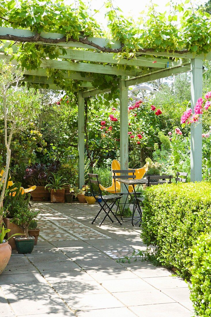 Climber-covered pergola on terrace with seating area in front of flowering rose bushes