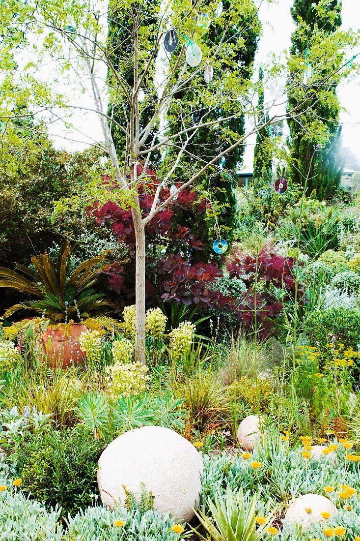 Mediterraner Garten mit Steppenflora und Palme im Topf hinter Baum mit aufgehängten CD-Scheiben