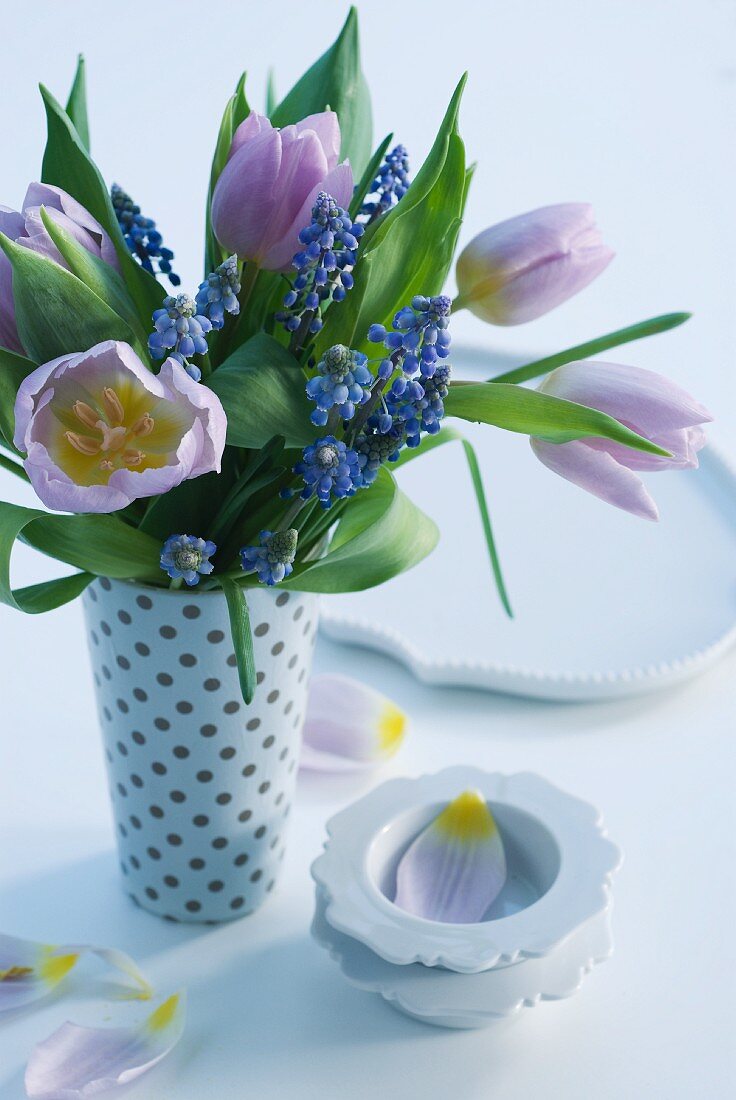 Frühlingsstrauss mit Hyzinthen und Tulpen