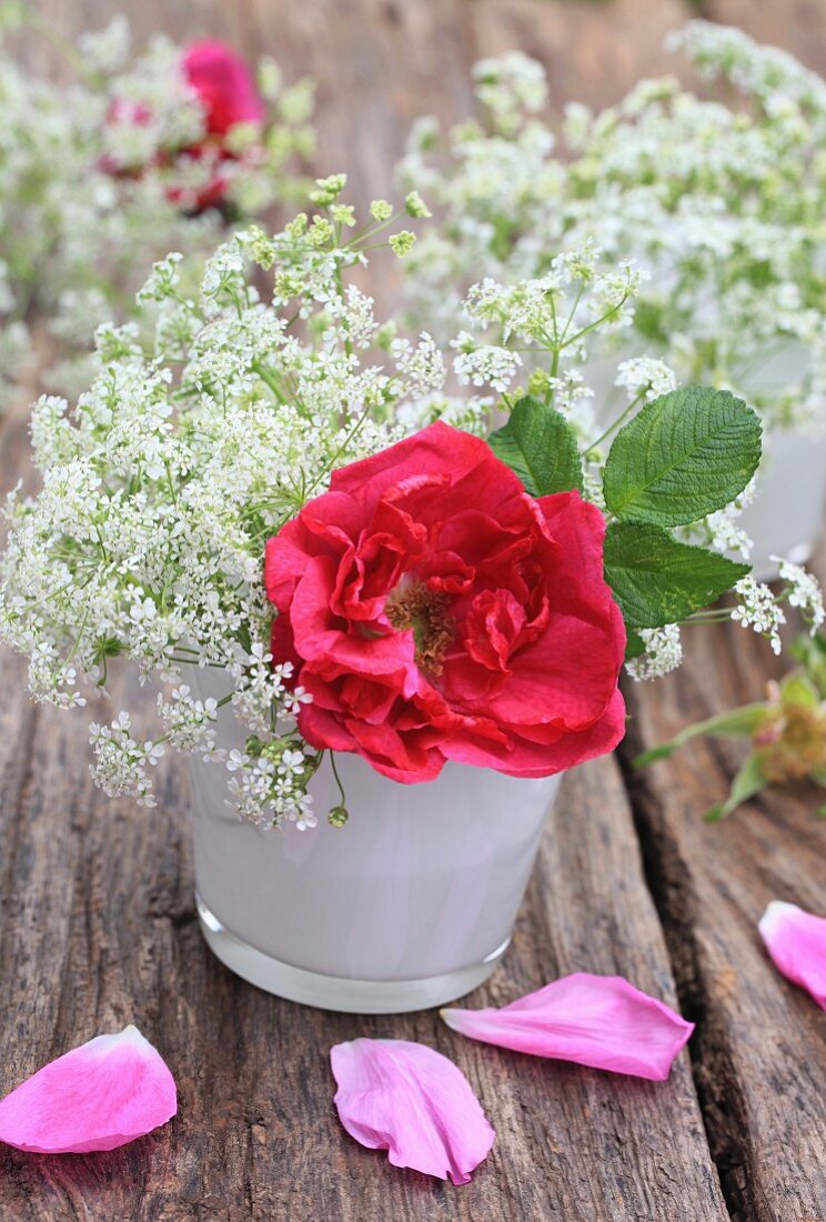 Wildrosenblüte in Vase