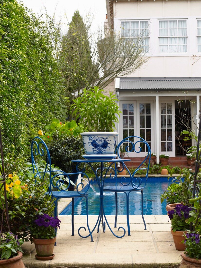 Blue and white ceramic pots with plants on a blue metal table in front of a pool
