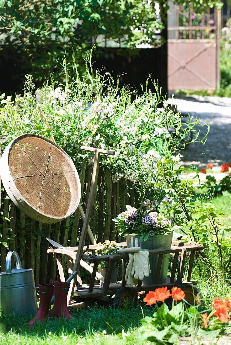 Leiterwagen aus Holz mit Gartenutensilien und Pflanztöpfen am Gartenzaun