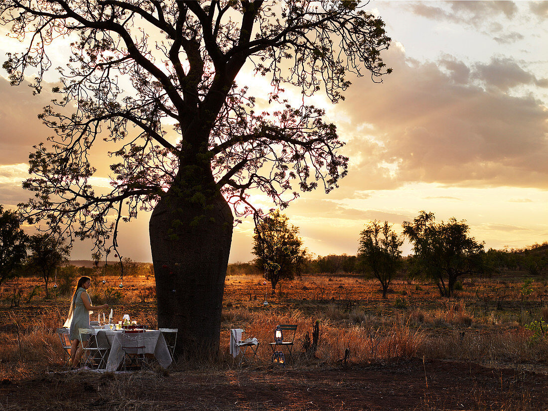 Festively set table beneath tree at dusk