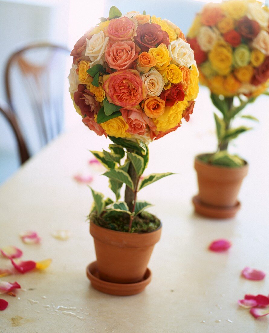 Spherical arrangements of roses decorating a table