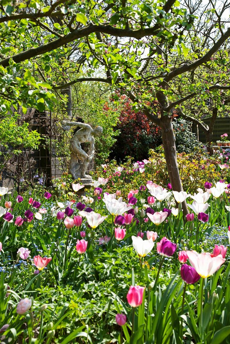 Romantic garden with tulips and stone statue
