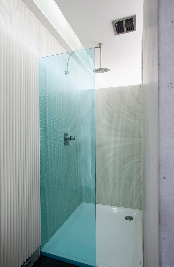 Modern shower area with blue-tinted glass screen