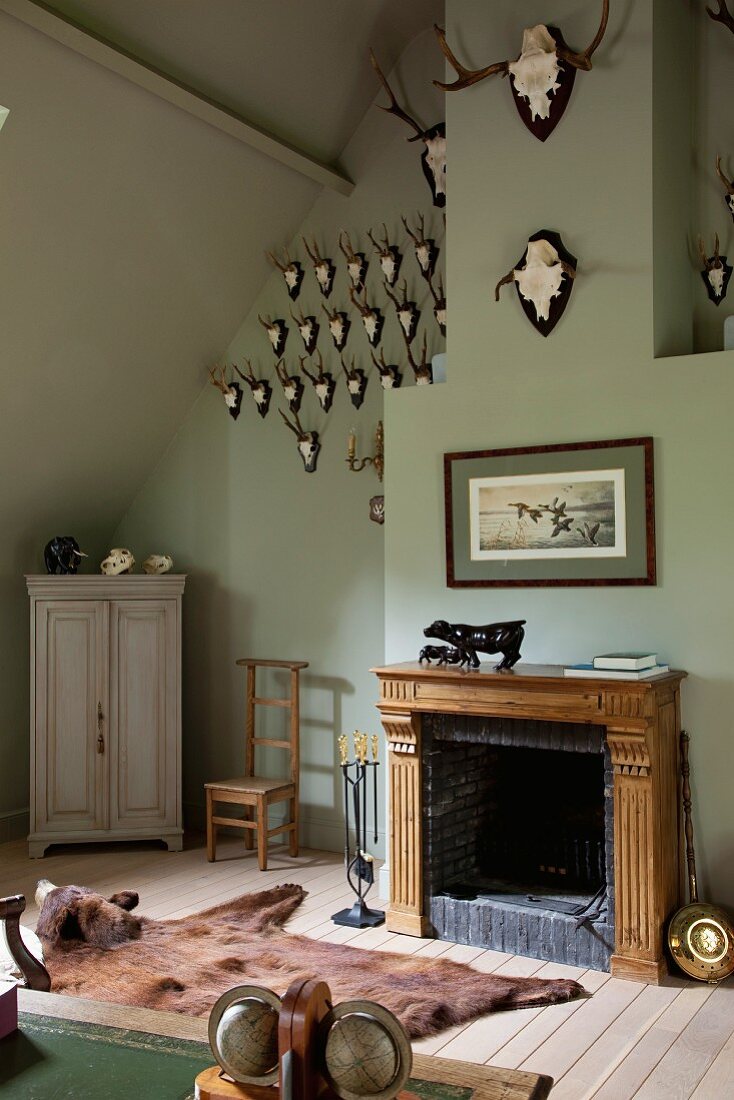 Renovated attic room in style of traditional hunting lodge - bearskin rug in front of open fireplace and hunting trophies on grey-painted wall