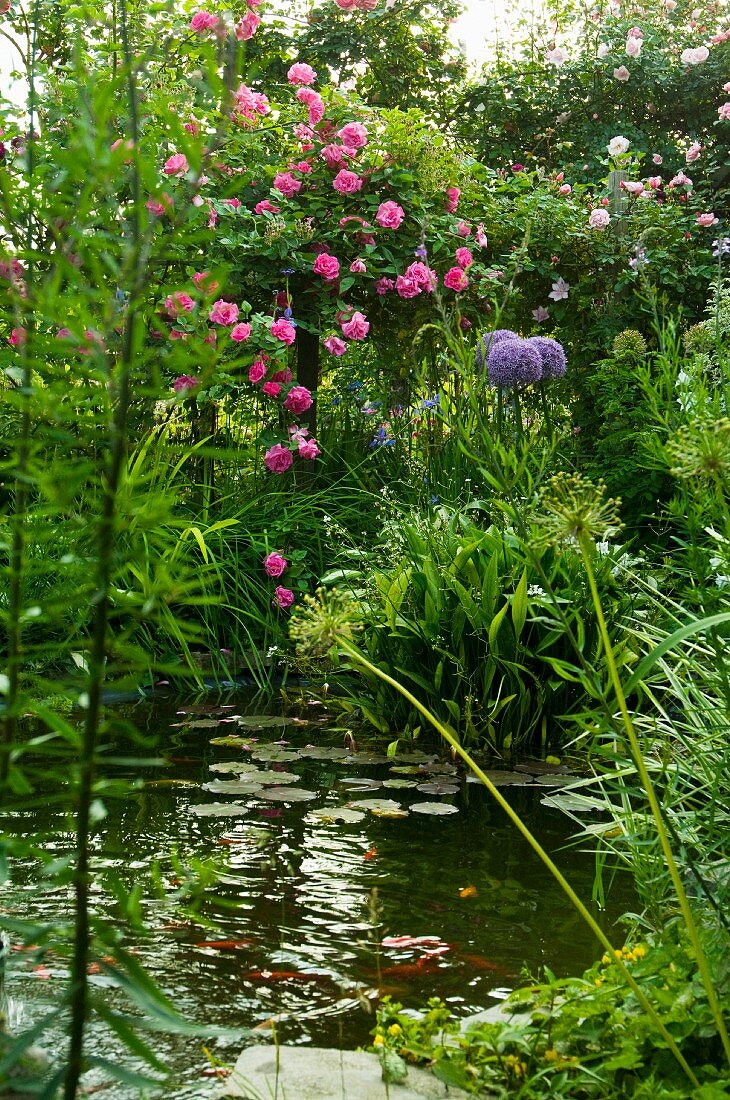 Teich mit Seerosen in blühendem Garten